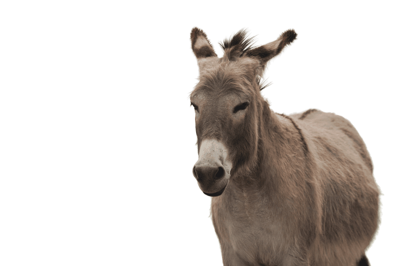 Nom de l'événement